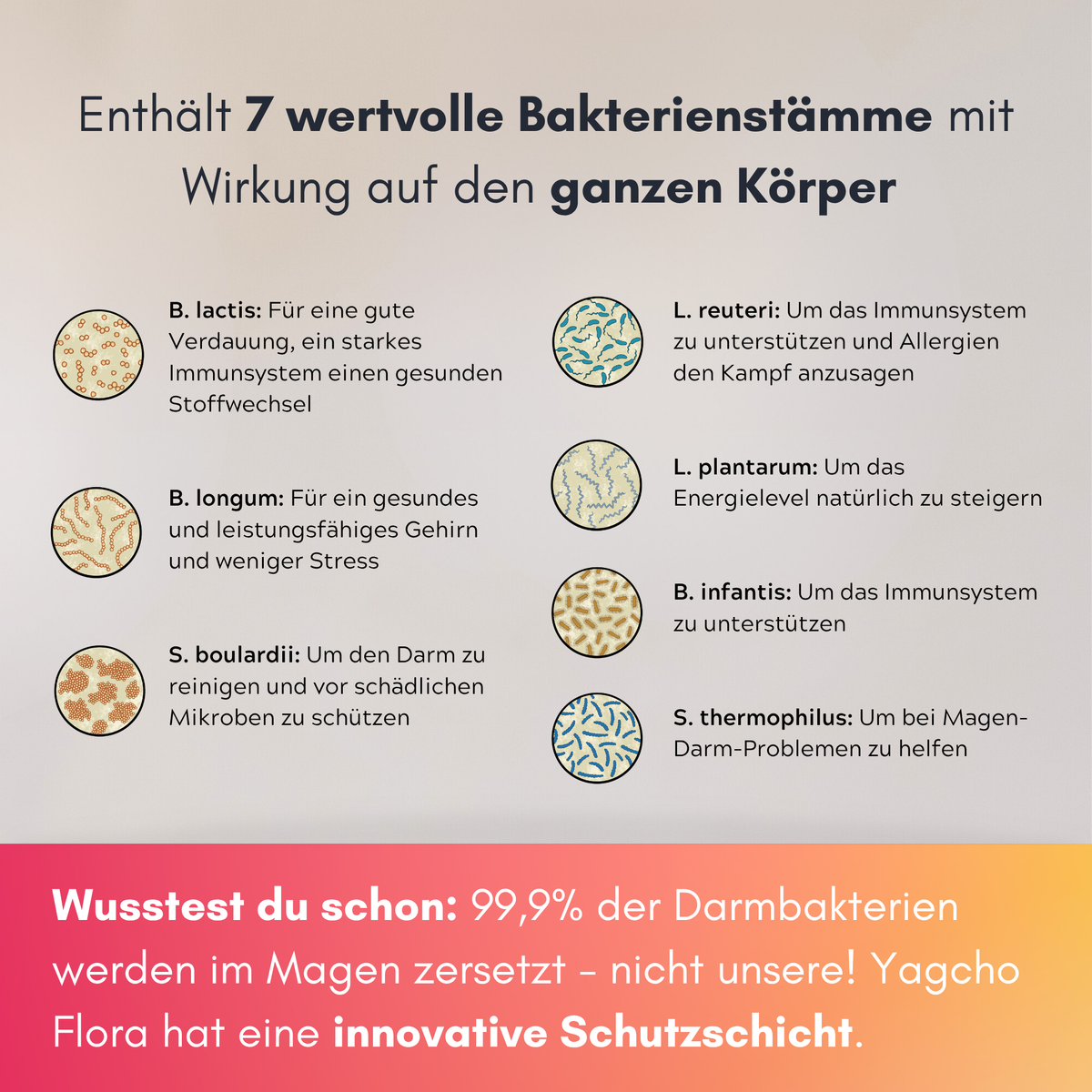 Darmflora-Komplex