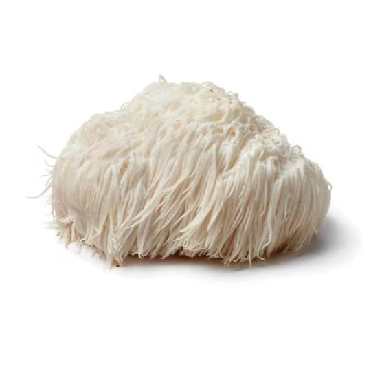 Hericium